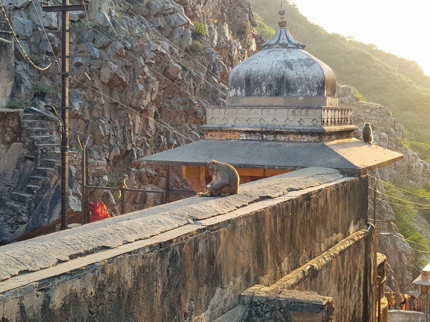 Hindu Ceremony and Monkey Temple