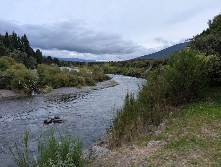 Turangi