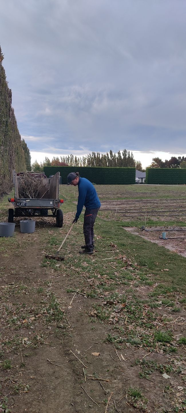 Week 46 - Work work work work work