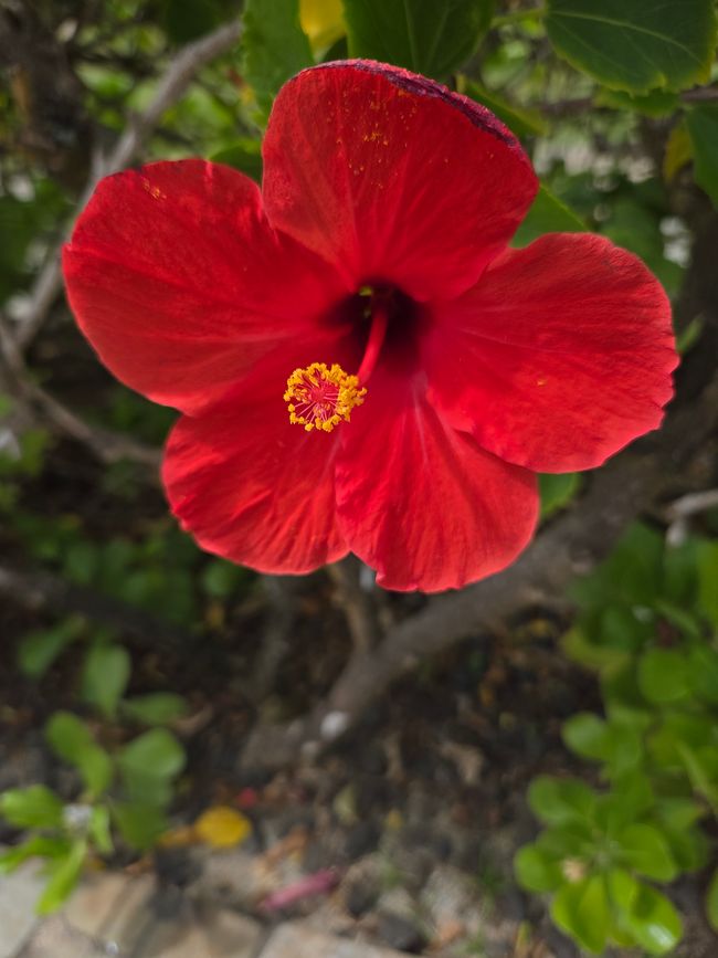 7. Kauaʻi - Salt Pond Beach Park