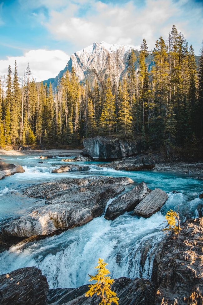 Lake Louise