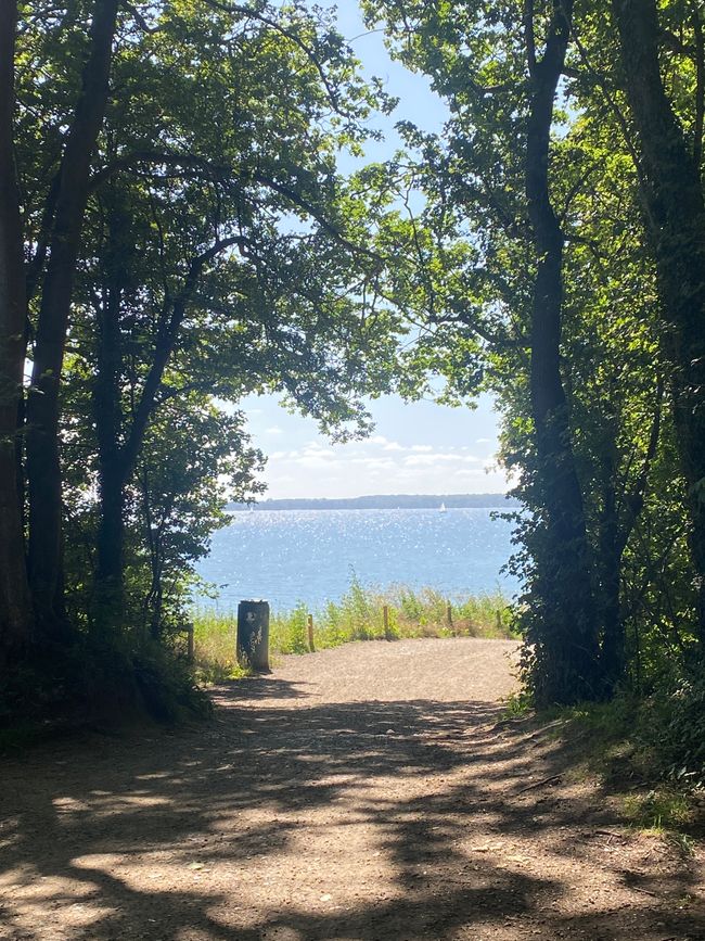 die Ostsee!