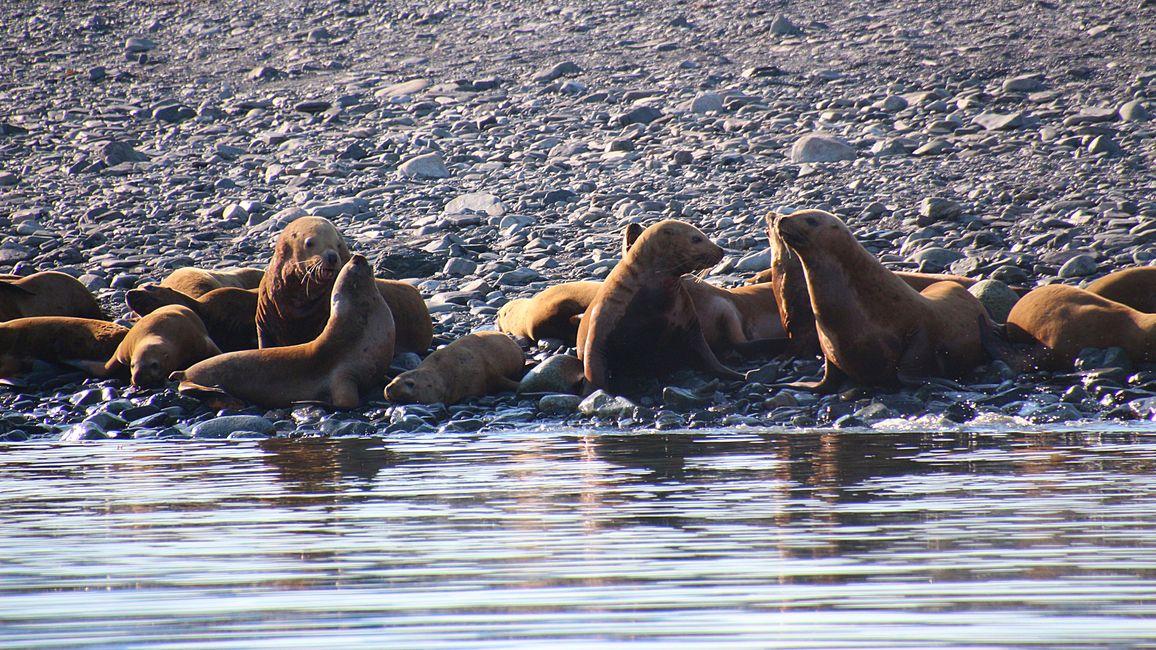 Day 24: Trip to Juneau: Glacier Outburst & 20,000 Tourists