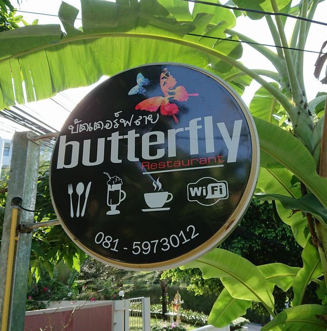 The Butterfly restaurant in Surin