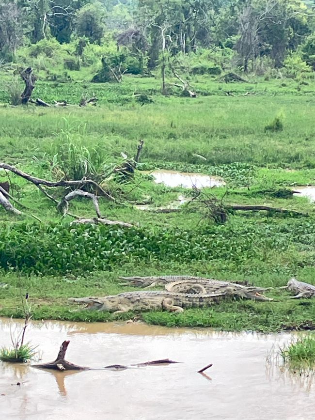 Nationalpark Murchison Falls