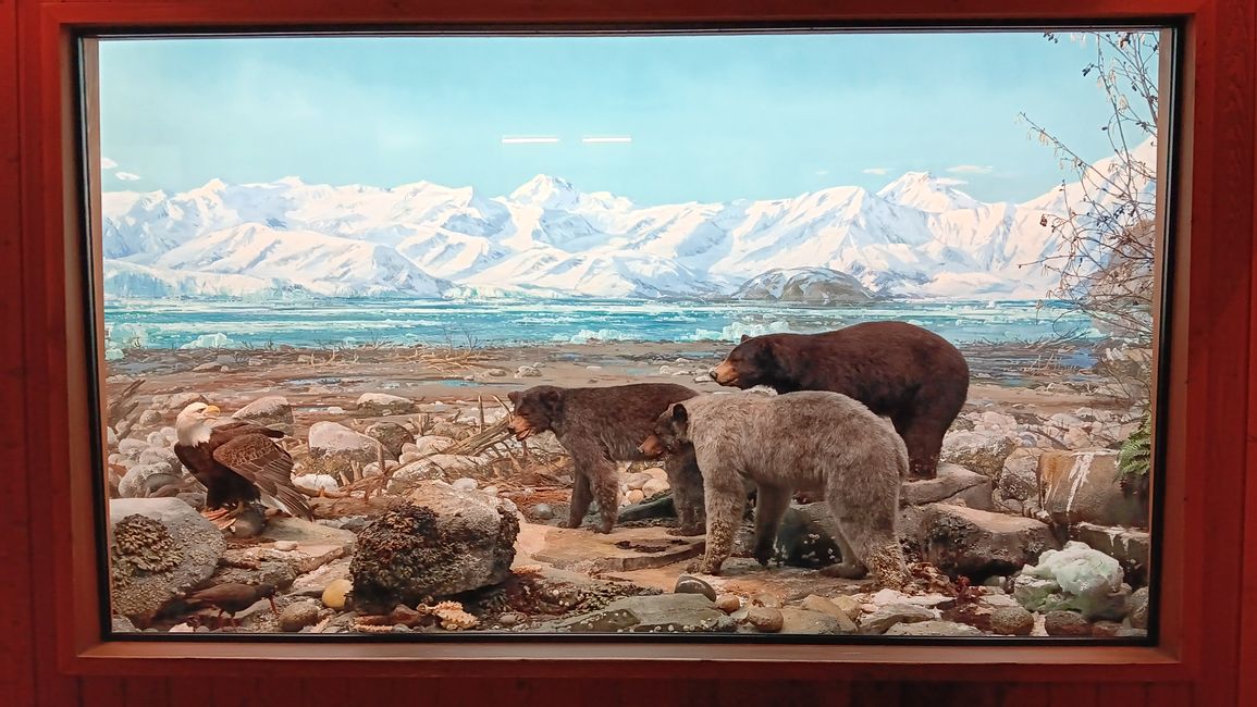 Museum of natural history I
