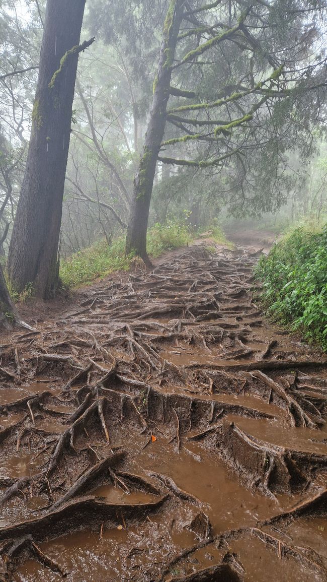 Semarang und Dieng – Dieng Plateau – Java – Indonesien