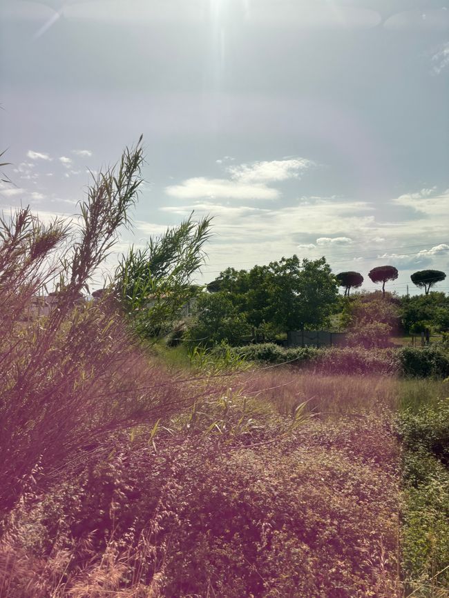 In der Toscana wird es wieder hügeliger