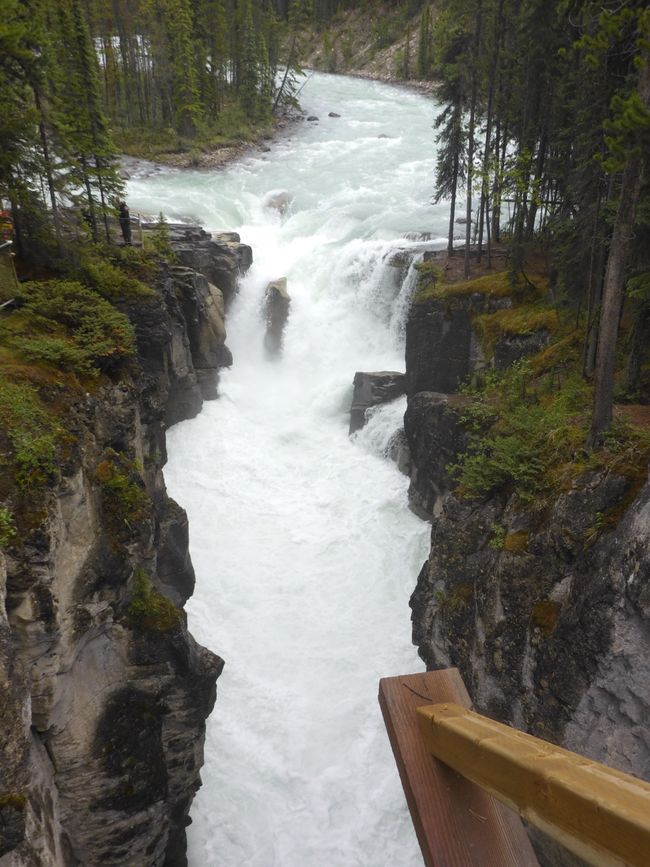 Chutes de Sunwapta