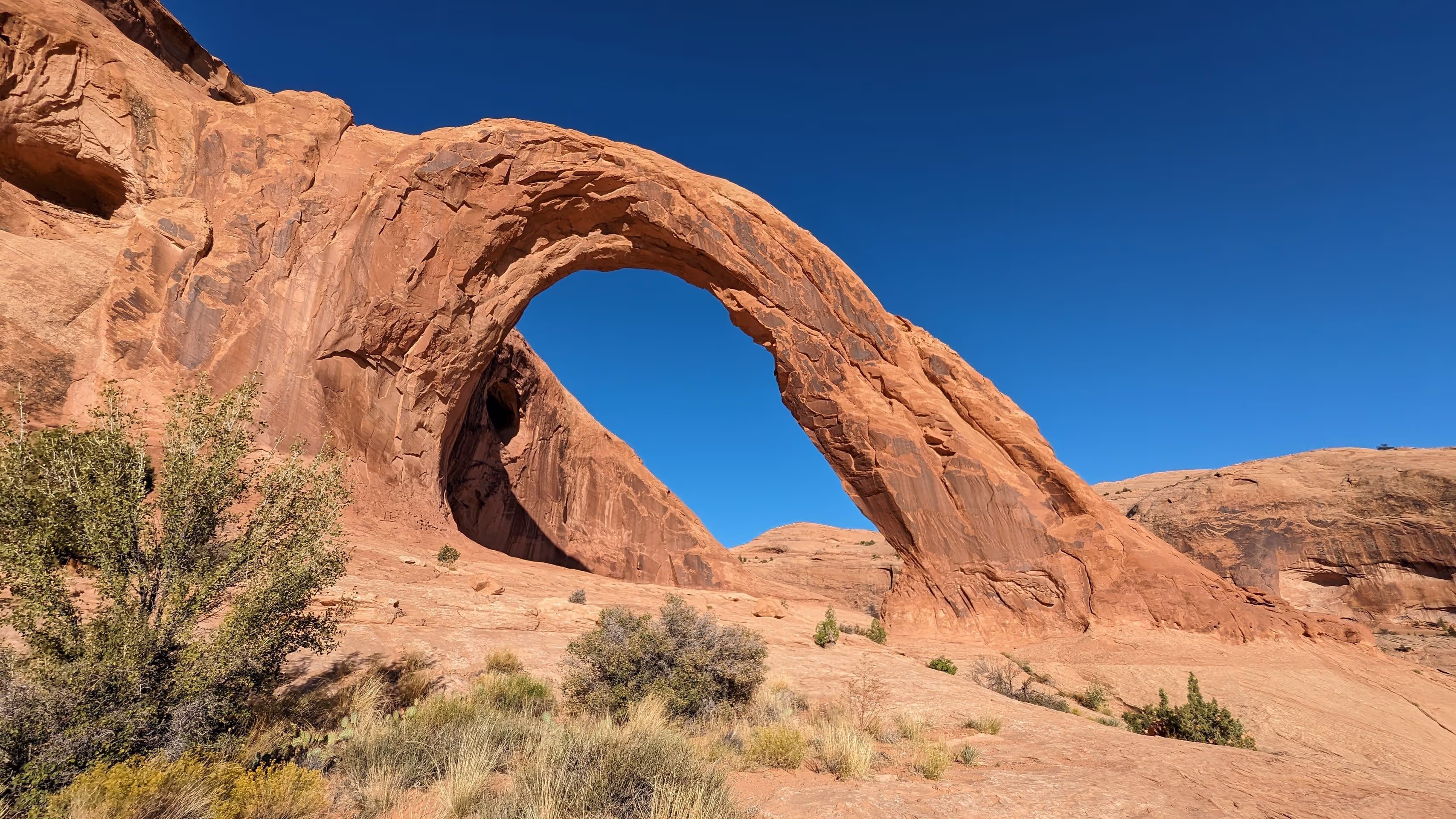 Corona arch 2