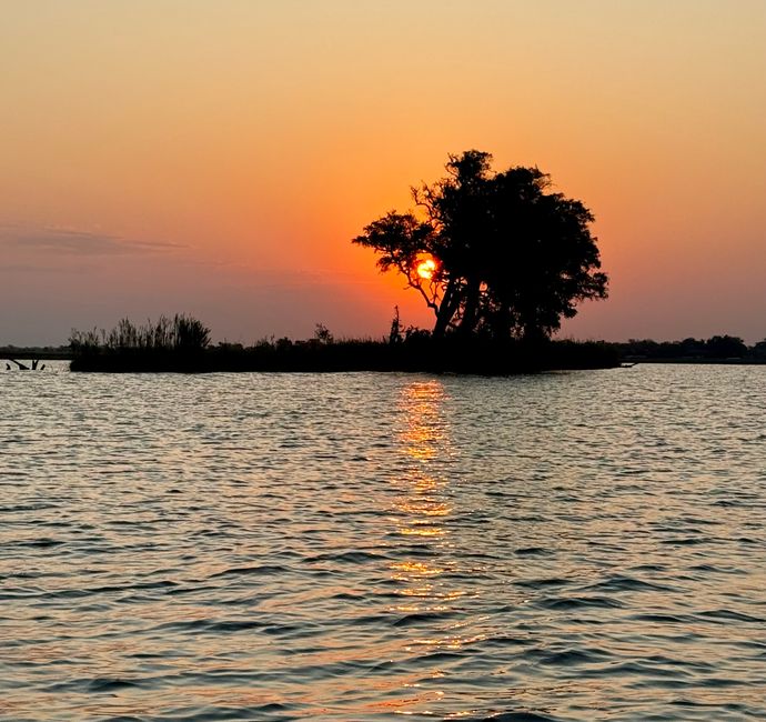 Chobe Nationalpark