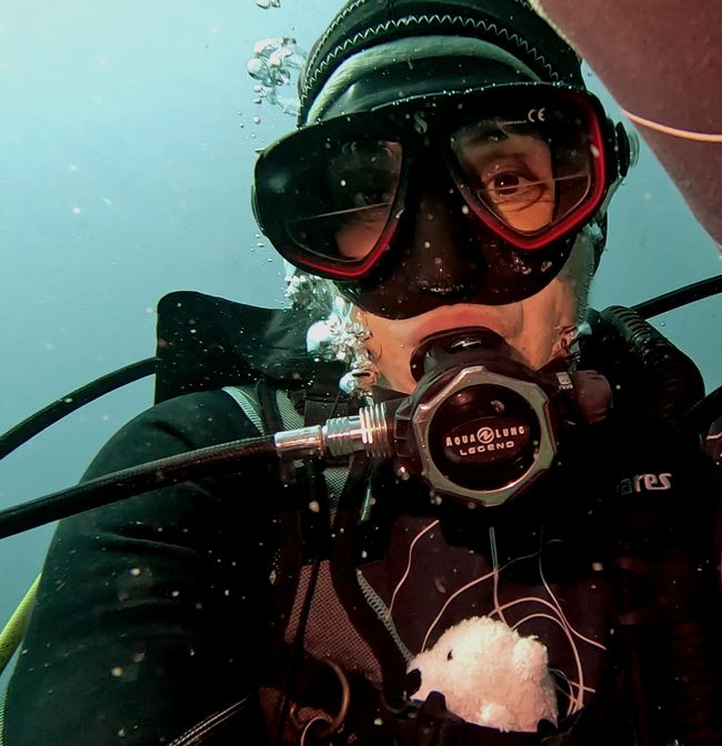 Travis ai Triton Bay Divers: Squali e altro