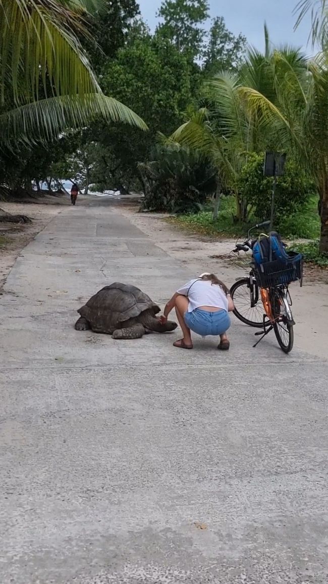 Seychellen - Tag 11: Inselhopping auf die Insel La Digue