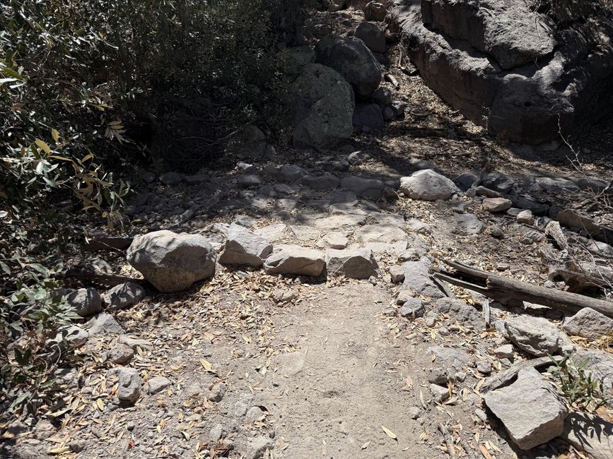 BLOG 12: In der Heimat der Chiricahua-Apachen