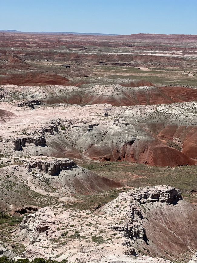 2. Tag: Petrified Forest NP