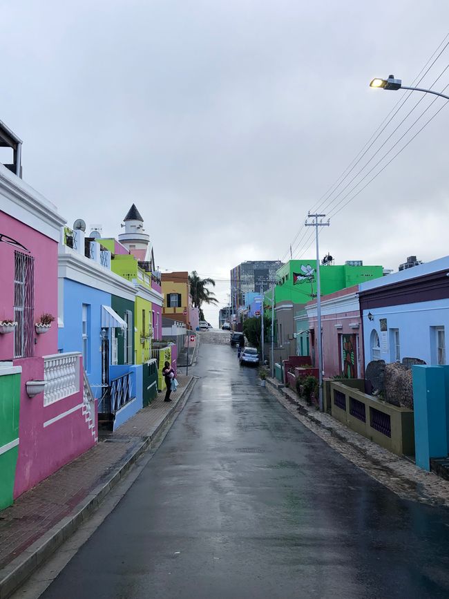 #5 - Cape Town - At the Cape of Good Hope