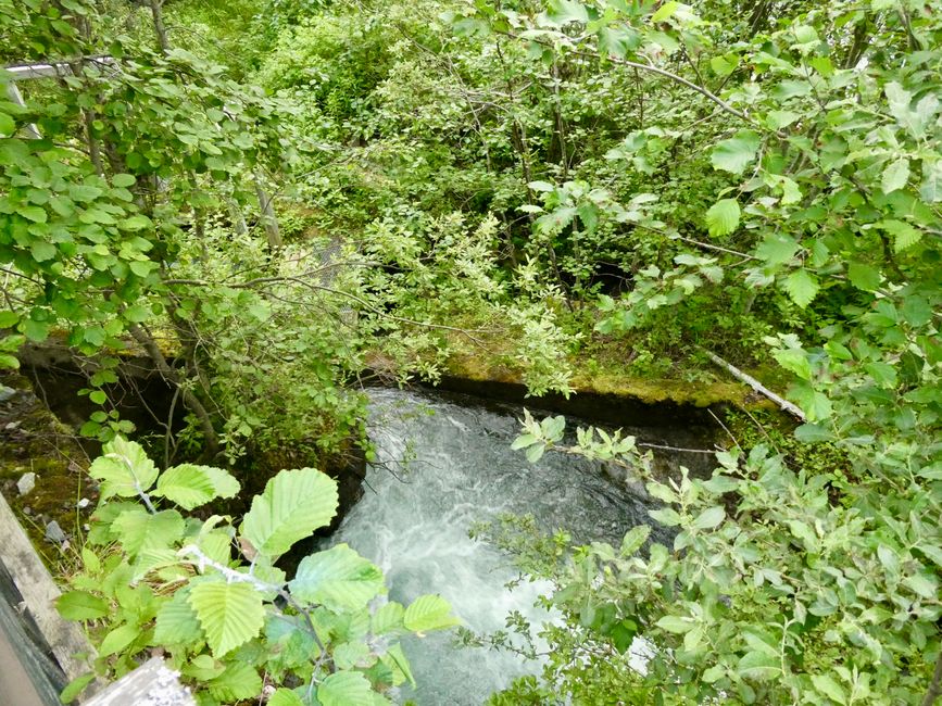 Lachstreppe