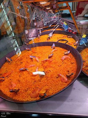 Valencia Stadt und Botanischer Garten