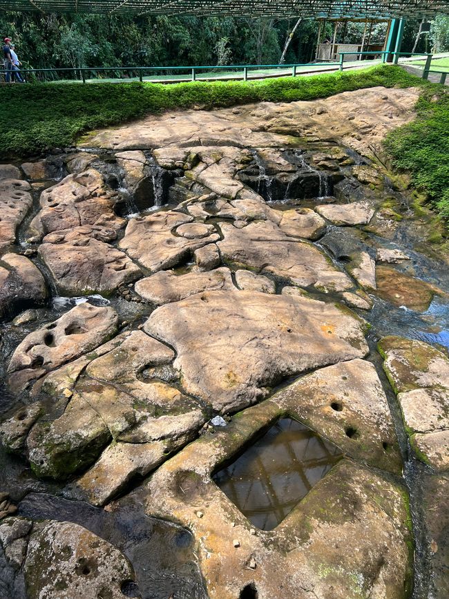 Étiquette 6/Lun, 2ème partie (Parc Archéologique de San Augustin)