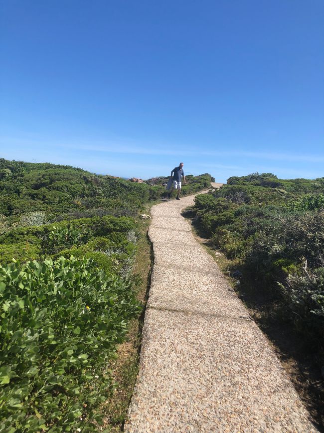 Entlang am Walweg von Hermanus