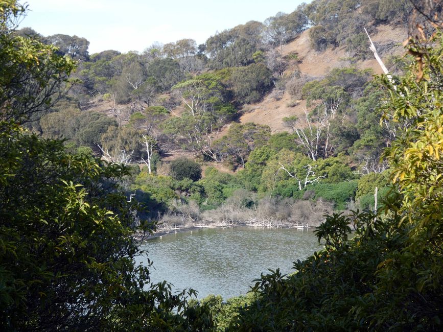 Tower Hill Wildlife Reserve