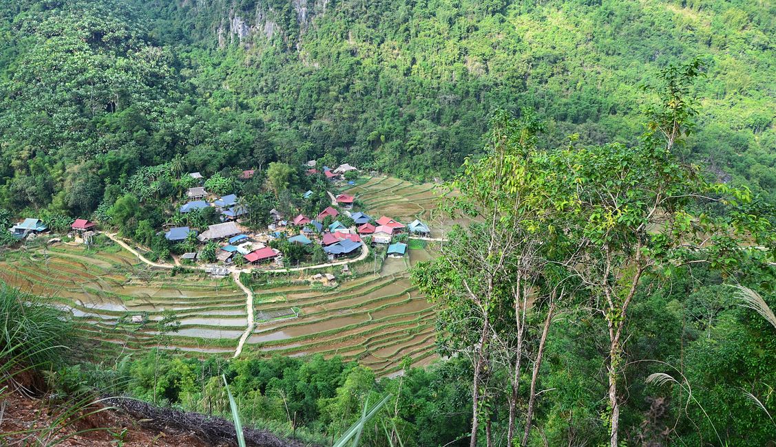 Village avec rizières en terrasses
