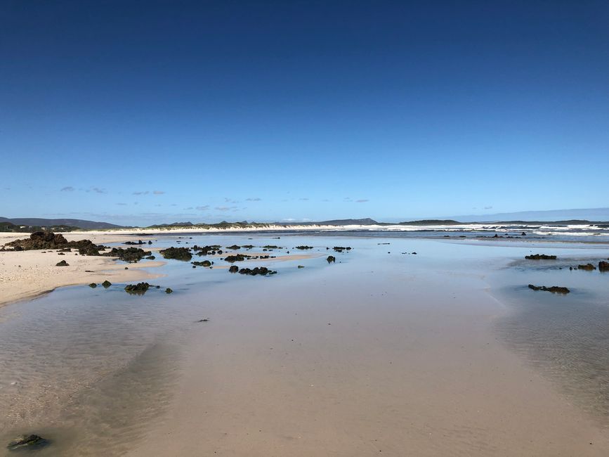 De Kelder´s und die Wale