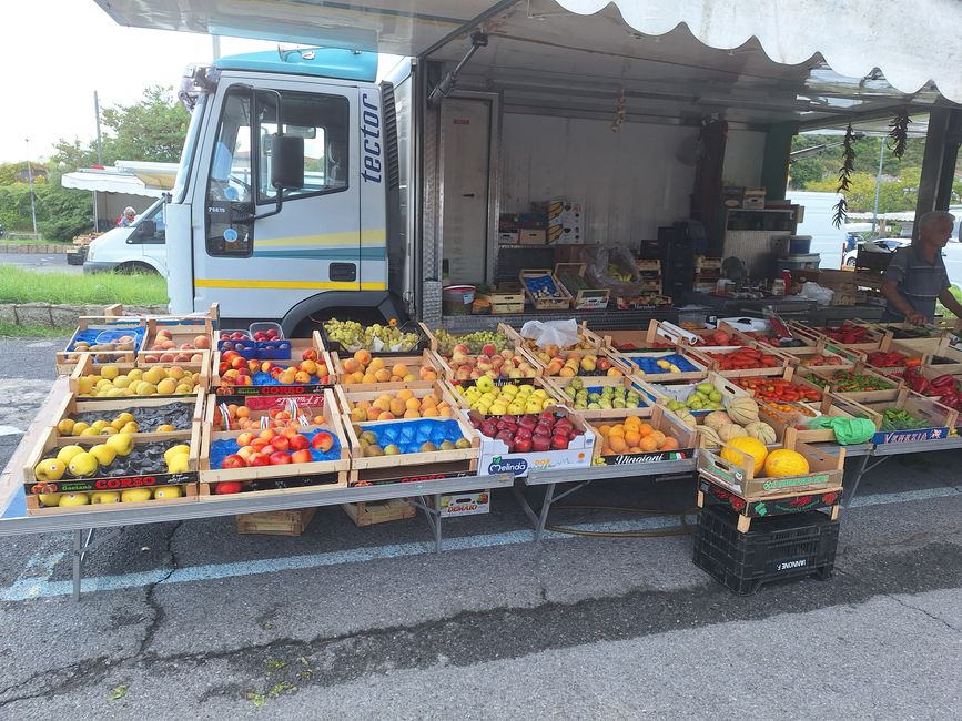 Fruit and vegetable stand