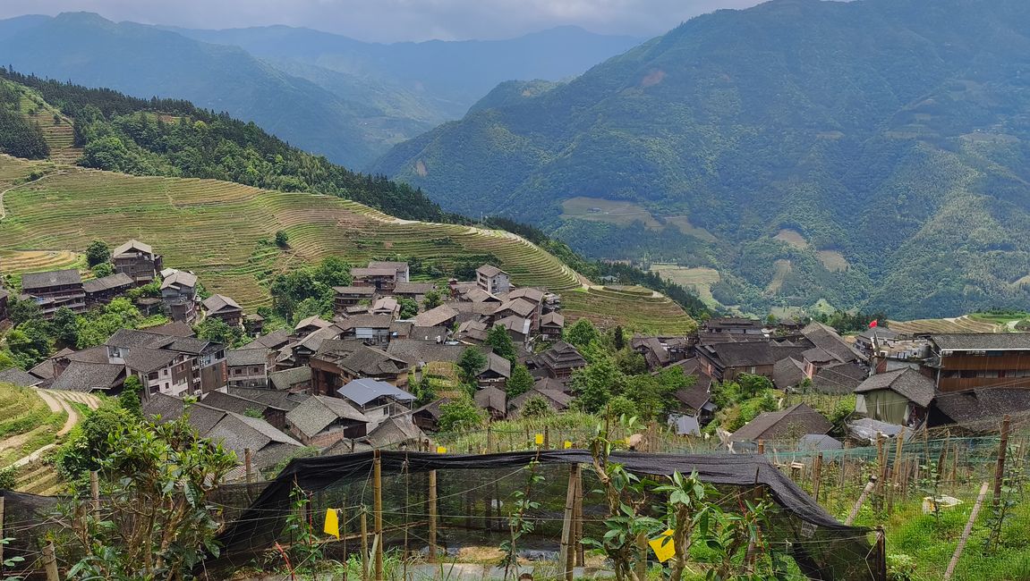 25. Mai Reisterrassen von Longsheng
