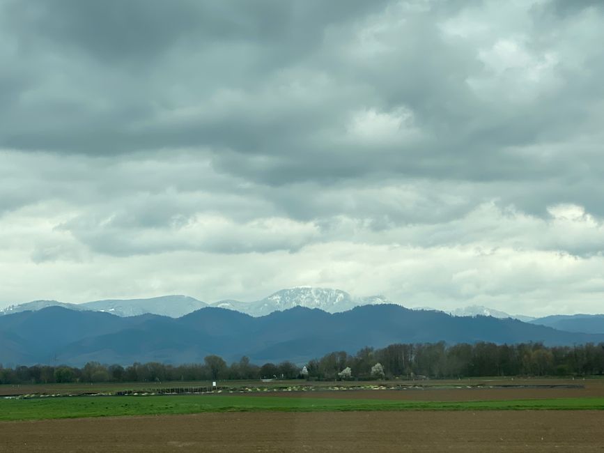 - unten bei Freiburg war der nur noch in der Ferne zu sehen.