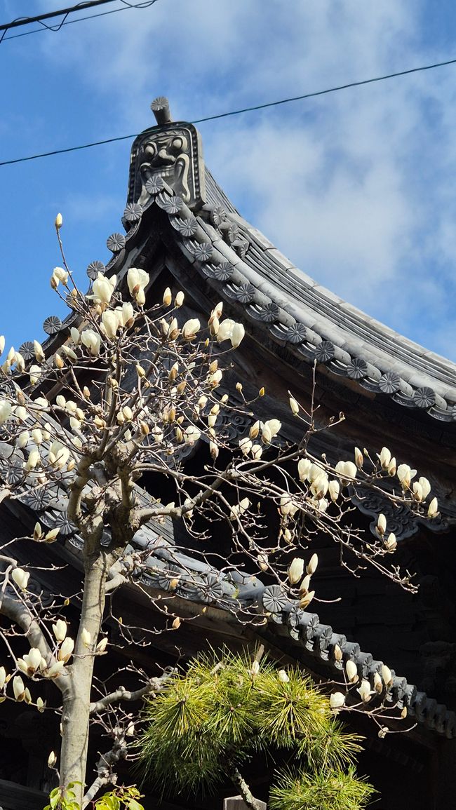 Nagasaki ist toll 🥰