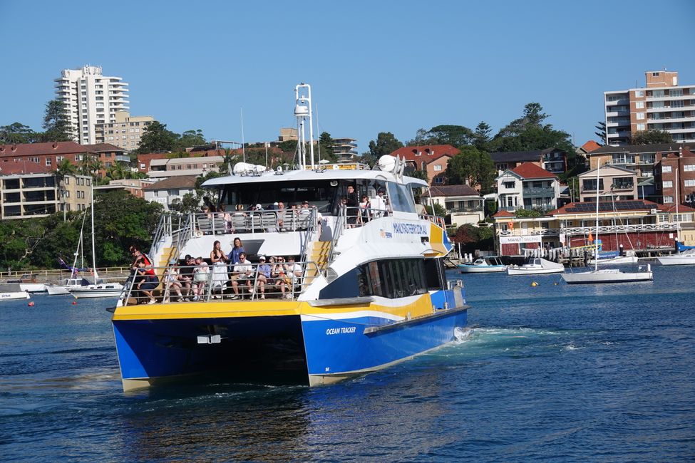 Sulle spiagge di Manly ....