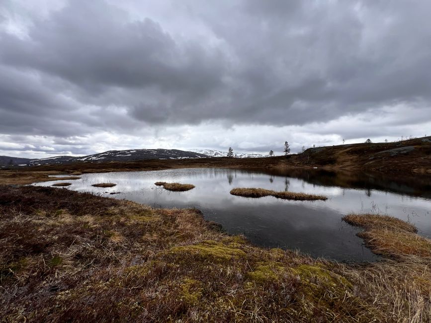 Südnorwegen hat mich in seinen Bann gezogen