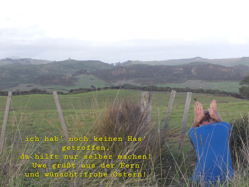 2025-04-15 Dargaville