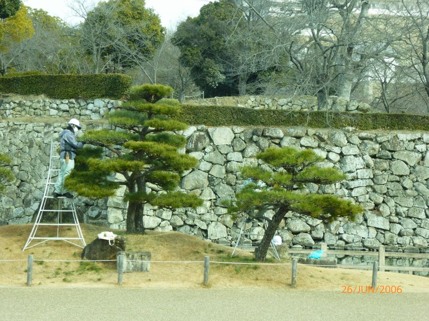 78. Tag Kobe, Giappone 10.02.2026