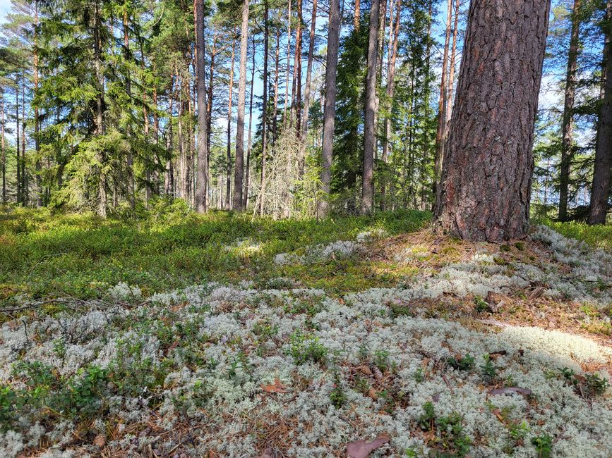 Store Mosse Nationalpark