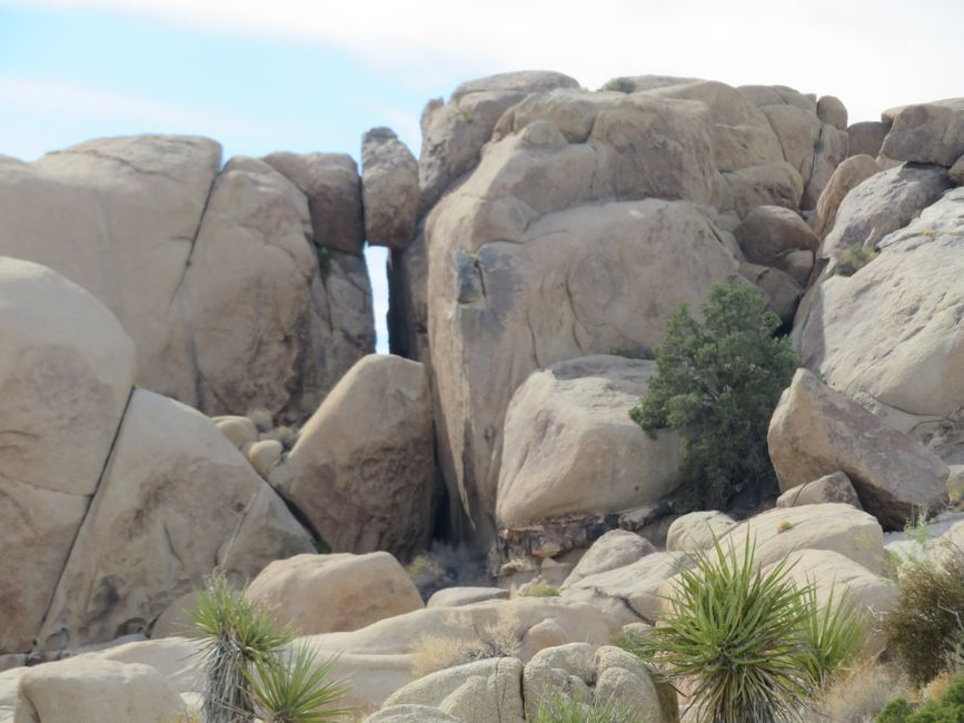 Joshua Tree National Park