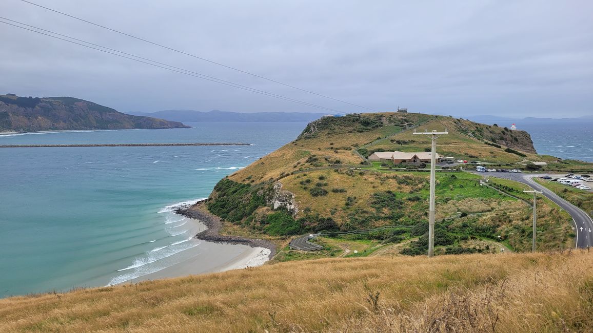 29.Januar -27.Februar 2025 Neuseeland
7.Februar