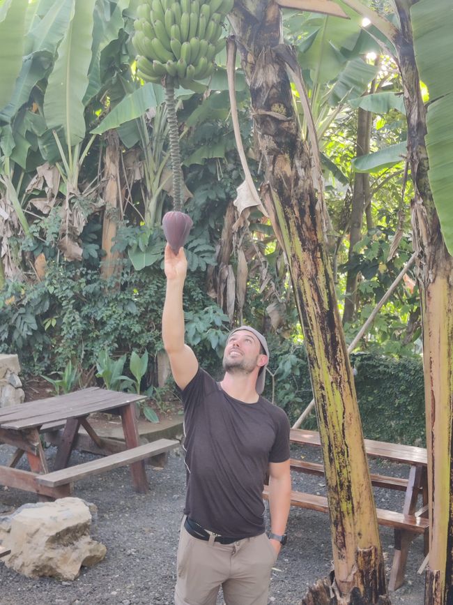 Tansania - Tag 7: Rückreise nach Arusha