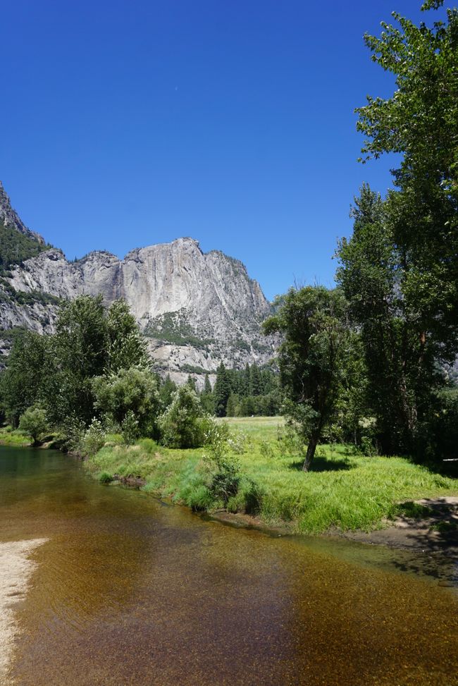 Tag 9 - Ultimo giorno nello Yosemite e un momento indimenticabile con un orso 🐻