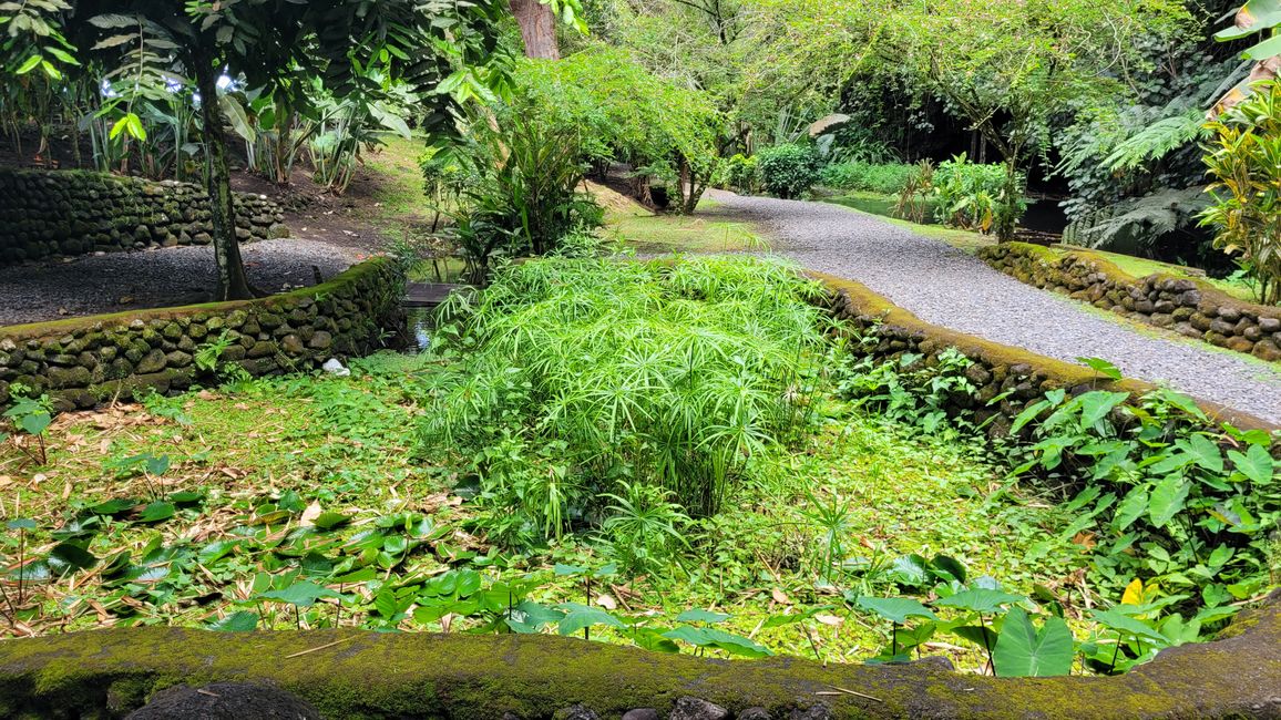 Tour around the edge of Tahiti-Nui