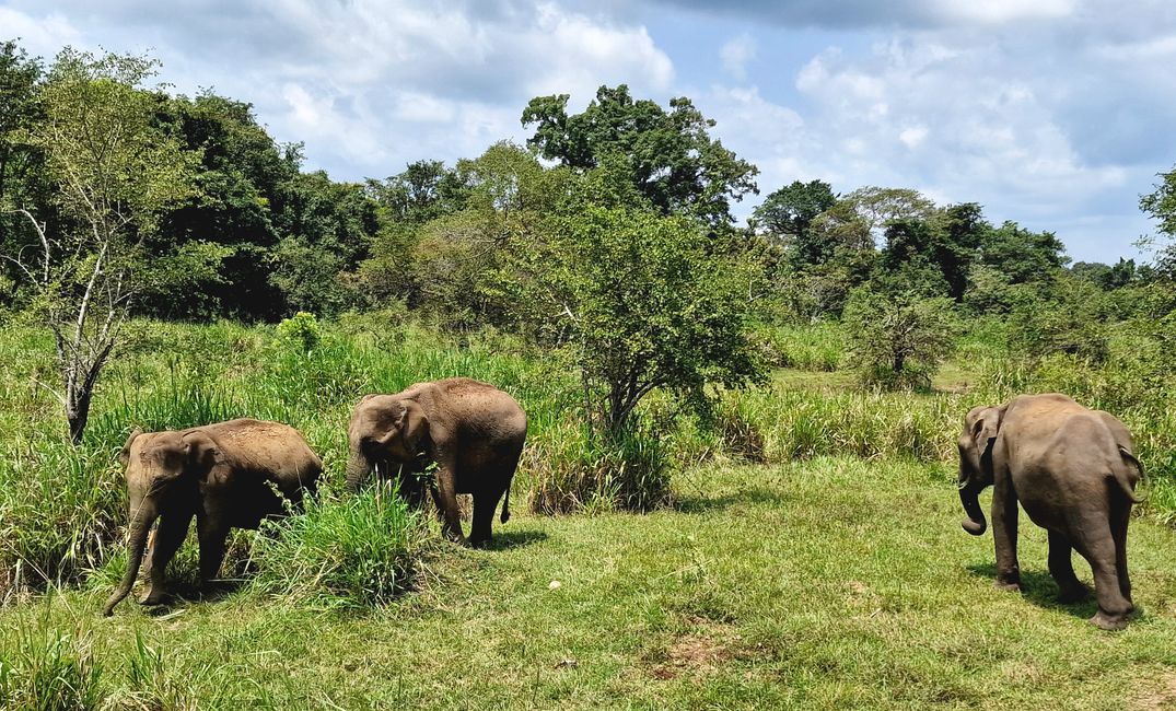 Hurulu Eco Park