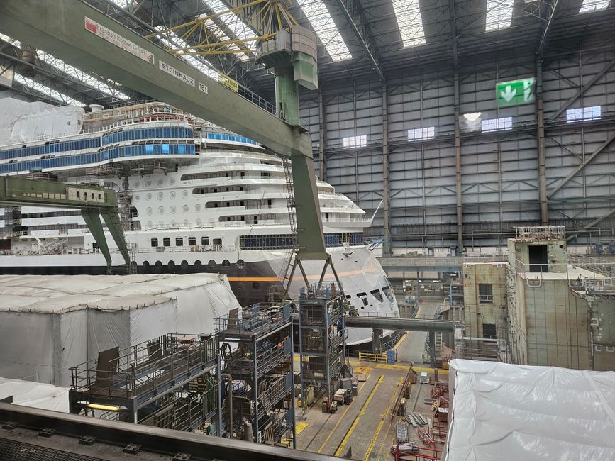 Meyer Werft 