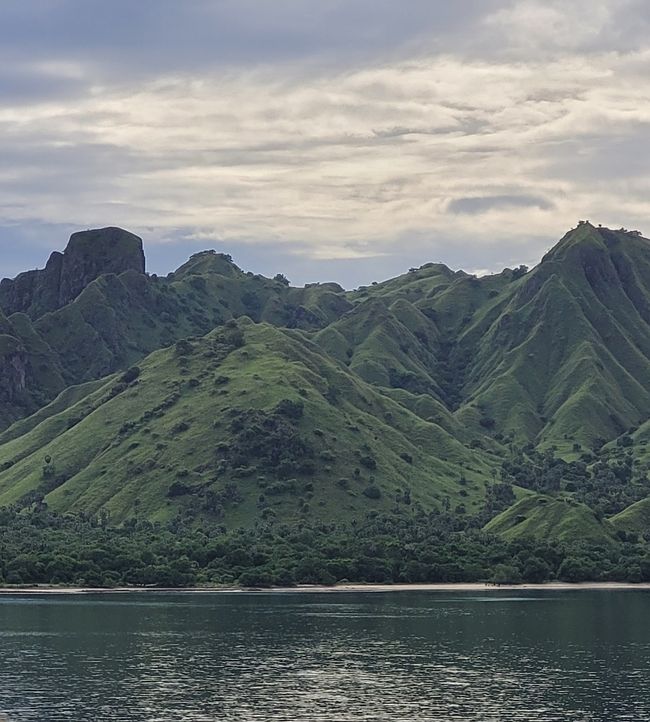 Day 110 of 175: Cruise around the world - Komodo/Indonesia