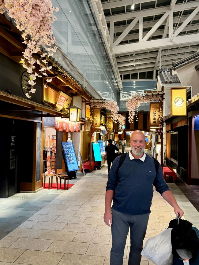Teil 12 Japan 🇯🇵 Abreise und Fazit der gesamten Reise
