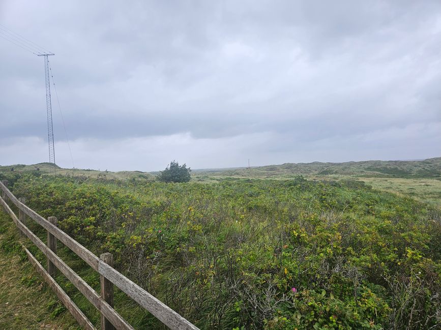 Blåvand ● Vista desde delante del faro 