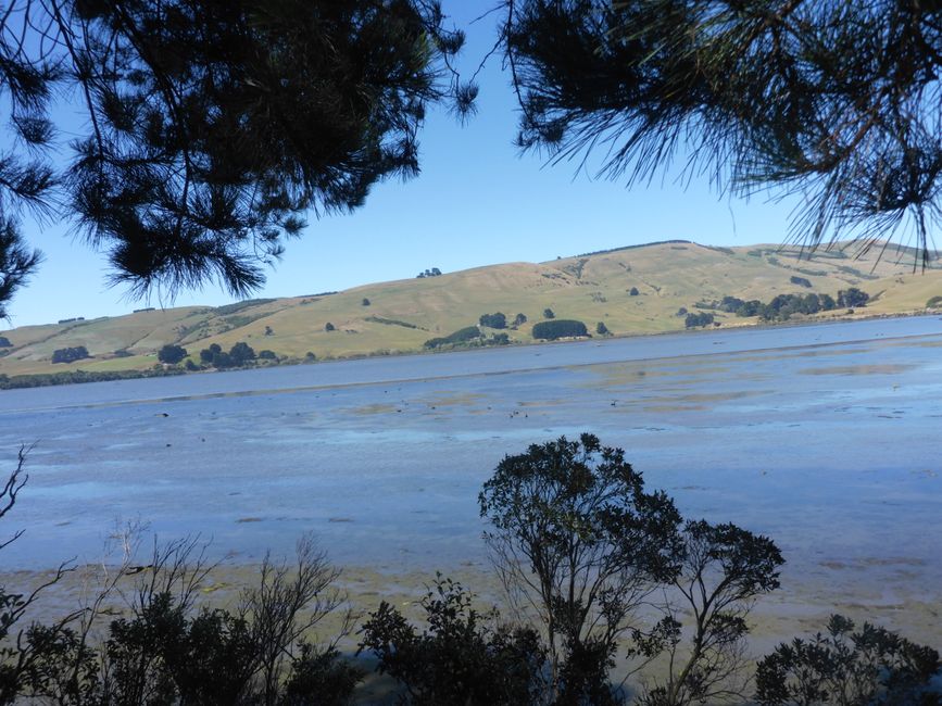 Pause dans la baie du lac Catlins