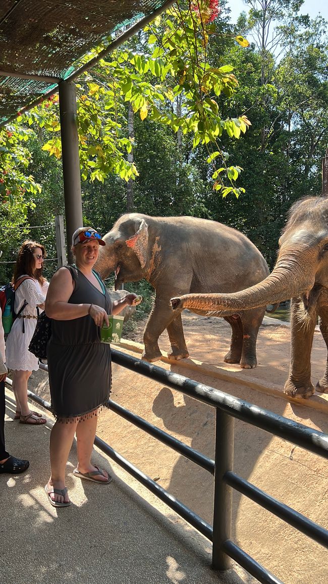 Tag 16 - Phu Quoc: Tierische Higloghts und glitzerndes Einhorn