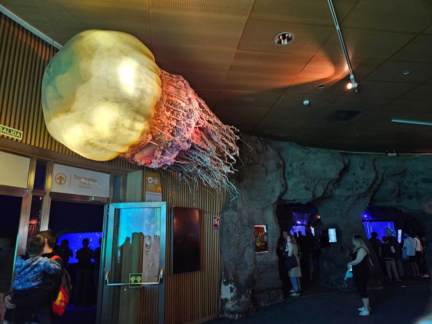 2025 - Aprile - Valencia - Oceanogràfic