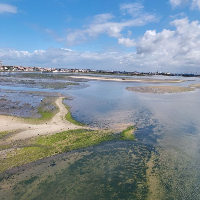 Aveiro